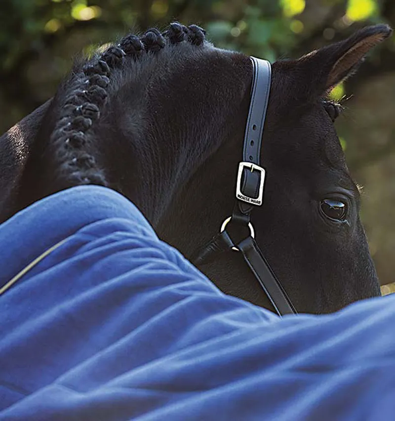 Equestrian Winter Fleece Blanket For Horse-Asmara China