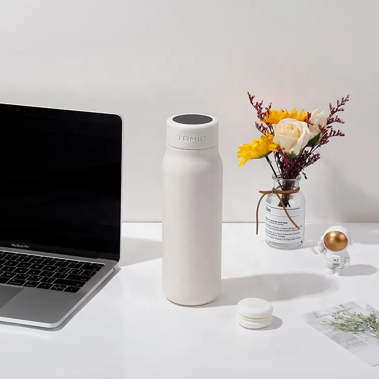 450 ML Water Bottle with Temperature Display Lid