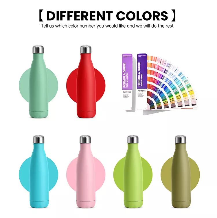 Stainless Steel Vacuum Insulated Water Bottle