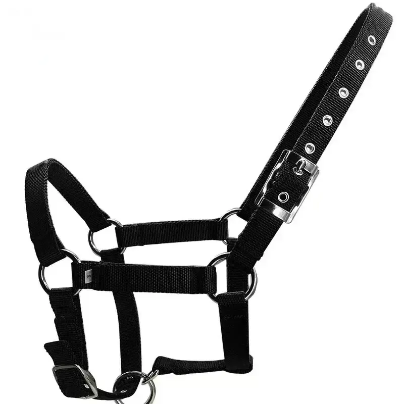 Equestrian Halter Horse Riding Halters