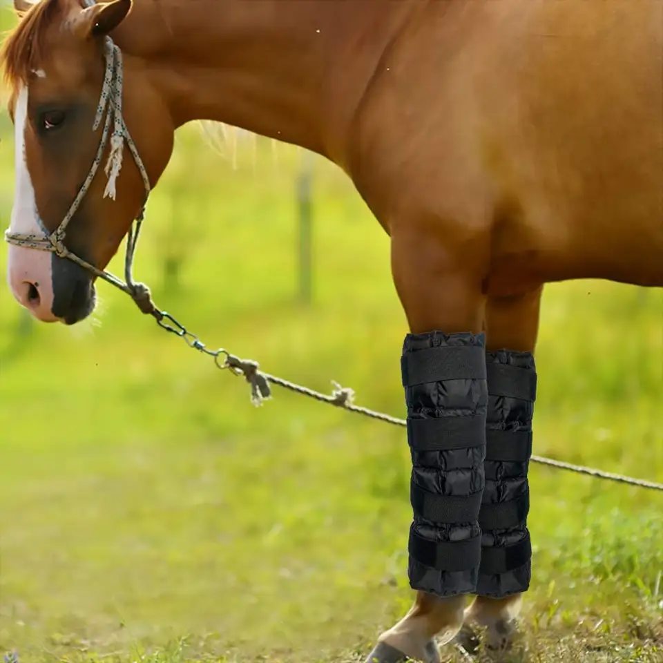 China equestrian large pro cooling therapy ice wrap