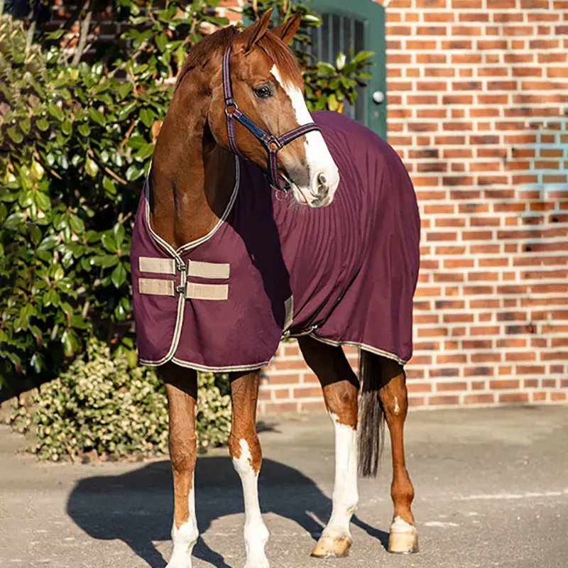 Equestrian Horse Ridiing rugs Waterproof Blanket