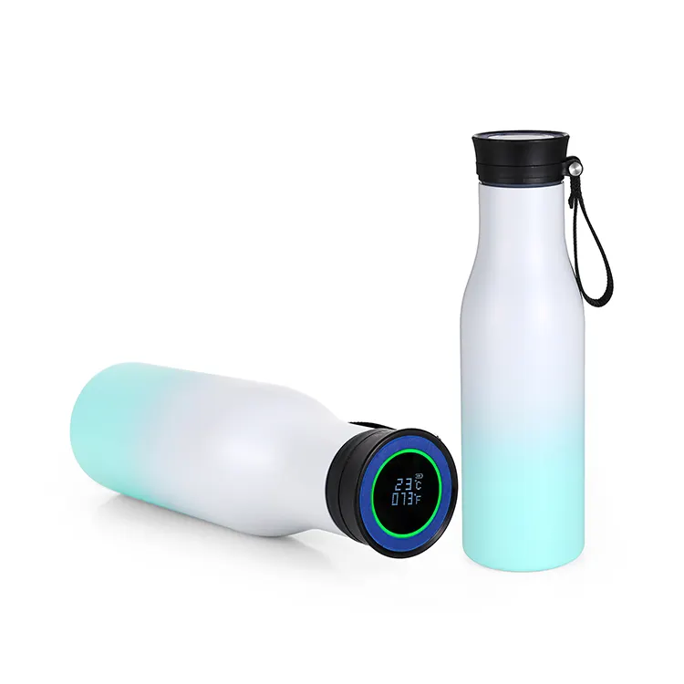 Sport 500ml Water Bottle Water Bottle with LED Temperature Display
