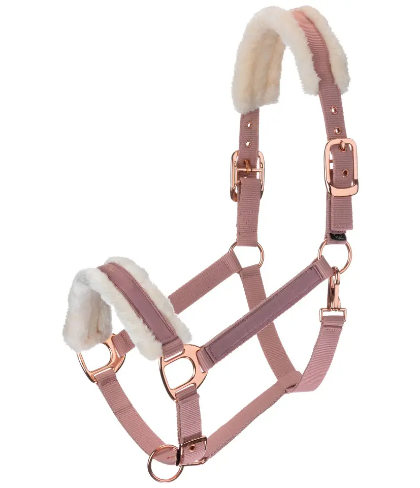 House Riding Nylon Equestrian Halter China