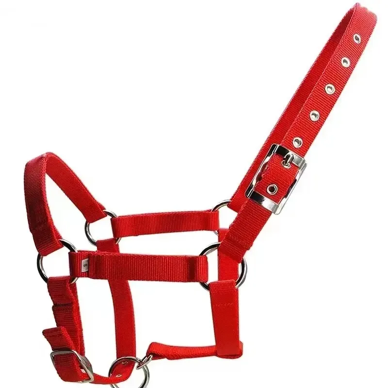 China Equestrian Halter Horse Riding Halters