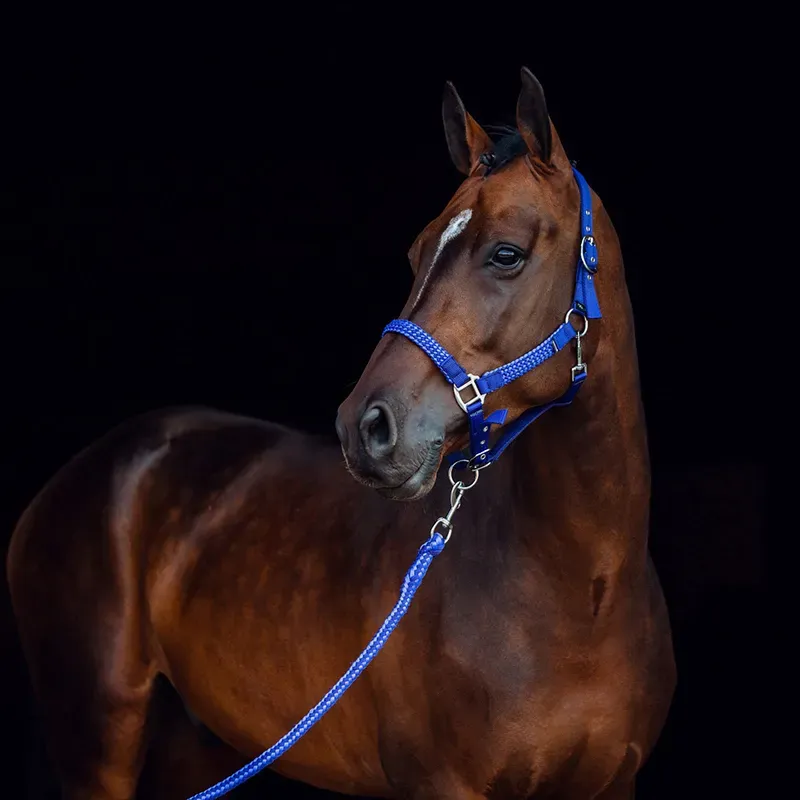 Equestrian Products Horsing Halters