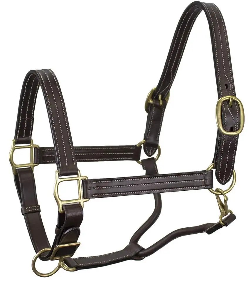 Horsing Riding Chin and Throat Snap Halter