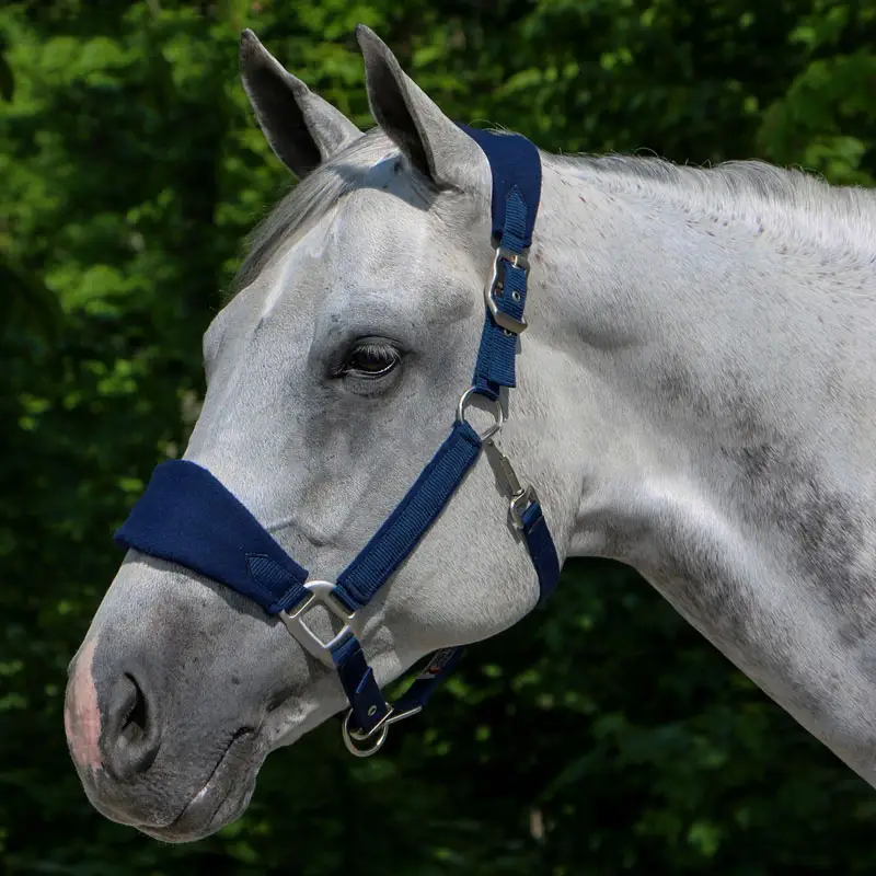 Equestrian Products Horse Riding Halter Durable Nylon Fleece Chin and Throat Snap Halter