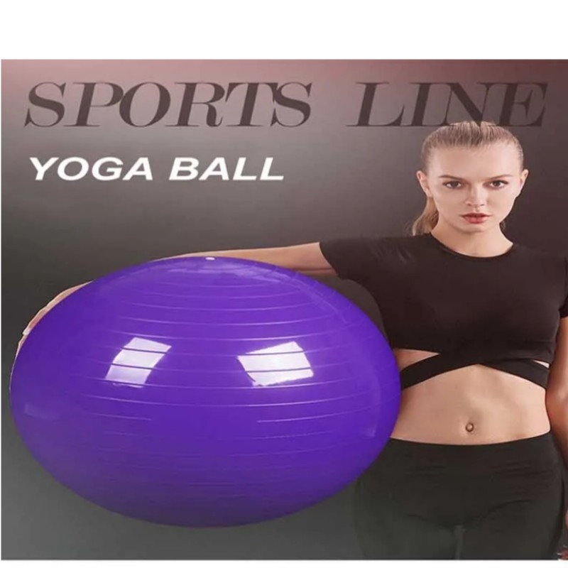 Pilate Fitness Equipment Body Balance Anti-burst Gym Ball Yoga Ball Stability China Manufacturer