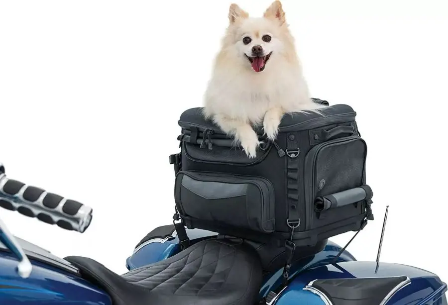 travel carrier pet dog sustainable bag China