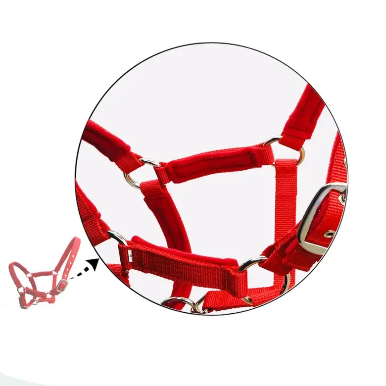 Equestrian Halter Horse Riding Product Solid Adjustable Halter