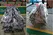 Several Drum Cutters Have Been Produced And Are Ready To Be Shipped