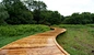New Idea For Boardwalk Installation, Using Helical Piles For Support