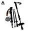 trekking pole prices
