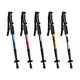TREKKING POLE