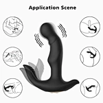 WY0522 CHARLES II - Vibrating Anal Toys, prostate massage, sex toy custom factory-WINYI-info@szwinyi.com