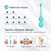 WY0571 HEIDI - Kegel Ball Set，vibrating kegel ball， benwa ball, kegel excersier, OEM ODM-WINYI-info@szwinyi.com