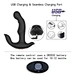 WY0522 CHARLES II - Vibrating Anal Toys, prostate massage, sex toy custom factory-WINYI-info@szwinyi.com