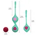 WY0425 GRACE - Kegal Ball, kegel exerciser, benwa ball, OEM ODM-WINYI-info@szwinyi.com