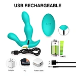 WY0552 RICHARD - Remote Control Anal Toys, prostate massage, sex toy, custom manufacturer-WINYI-info@szwinyi.com
