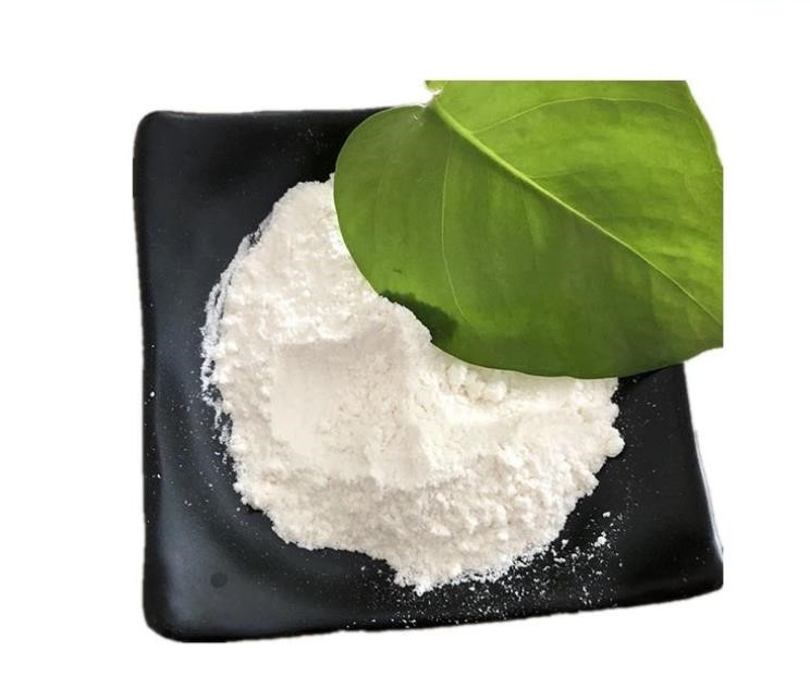 PTA Terephthalic Acid CAS 100-21-0