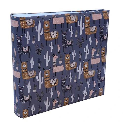 photo album
paper cover
photo book