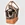 cat in a bag