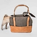Pet Handbag