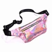 clear belt bag