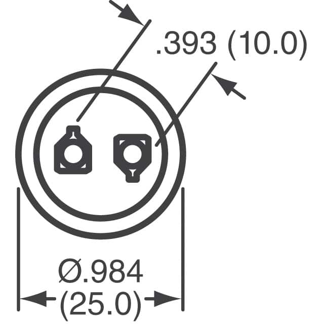 381LX101M250J202
