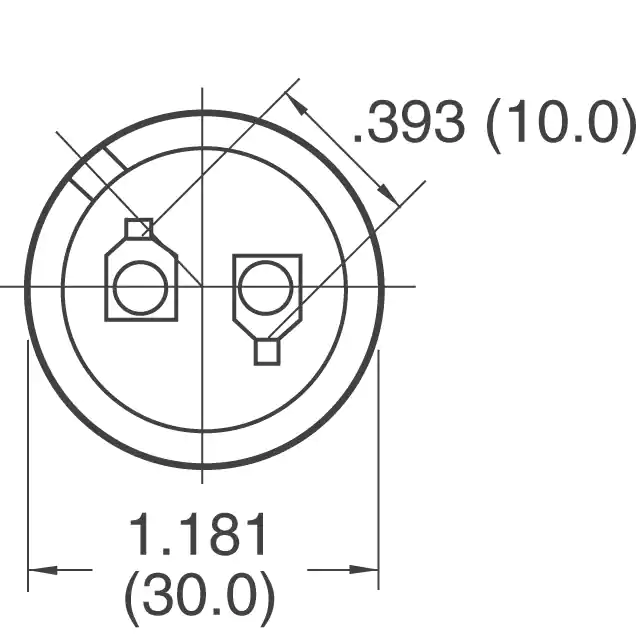 P13825