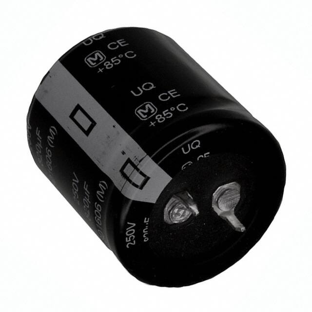 P13825
