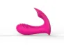 Ylove  Personal Use Remote Controlled Massager Vagina Sex Toys Vibrator Toys Wireless Toys  G-Spot  Couple Butterflies
