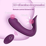 vibrator with remote