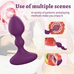 Anal Plug Vibrator