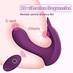 panty vibrator