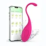 Ylove APP Control Vibrating Love Egg Kegel Balls Sex Toys for Women