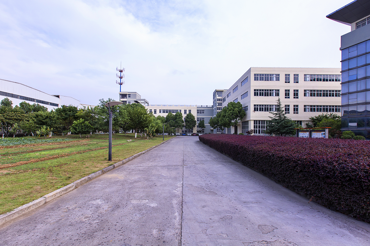 公司外部环境及花园