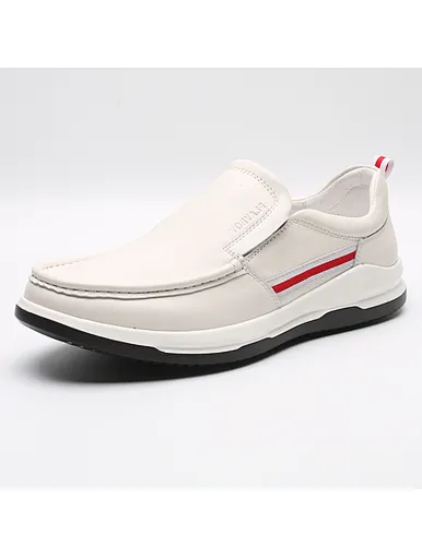 men loafer shoes