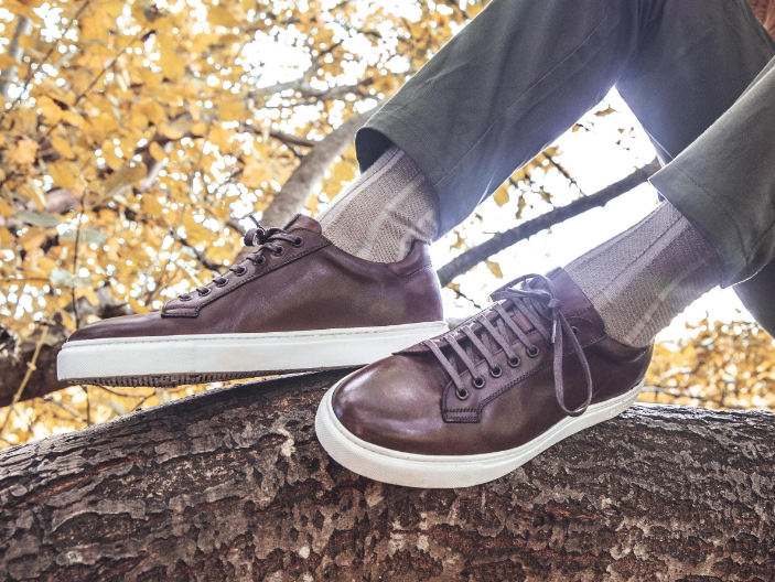skateboard sneakers