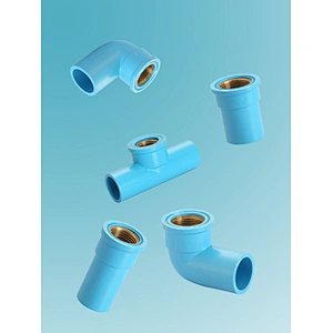 PVC Fitting Female Brass Coupling