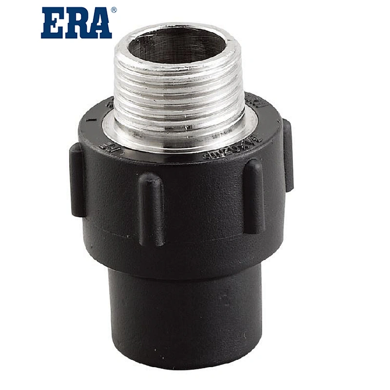 Male Socket