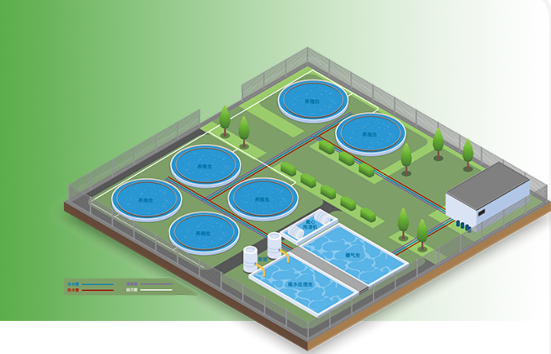Land based aquaculture model