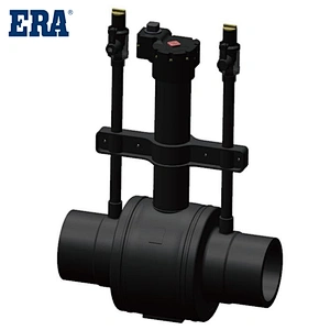 ERA Brand HDPE/PE/Plastic Ball Valves For Water and Gas with double purge