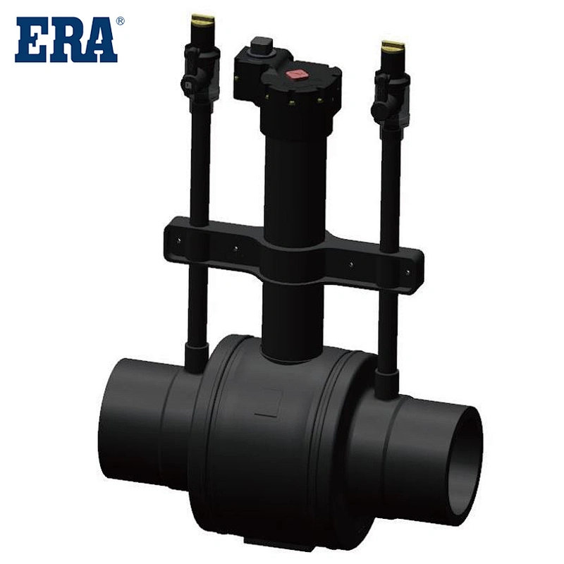 ERA Brand HDPE/PE/Plastic Ball Valves For Water and Gas with double purge