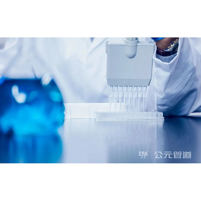 PPR SOCKET M/F