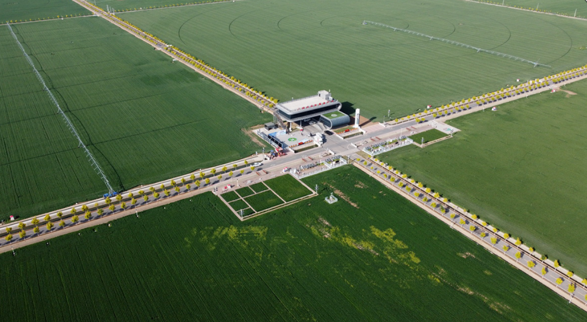 New paradigm of agriculture