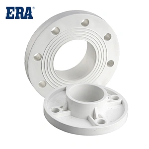 TS Flange