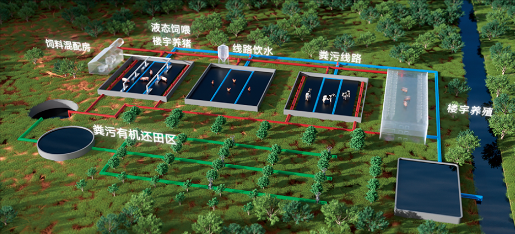 Ecological livestock breeding scene