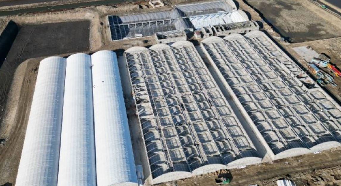 Factory style shrimp farm